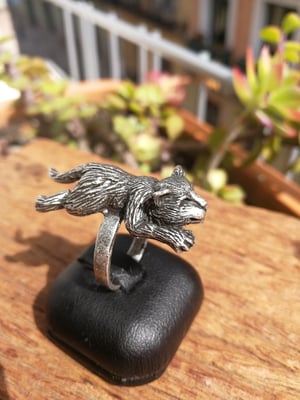 Image of ANILLO GATO ACOSTADO