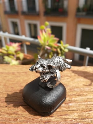 Image of ANILLO GATO ACOSTADO