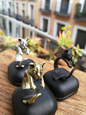 Image of ANILLO GATO