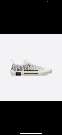Dior Low Top Chucks