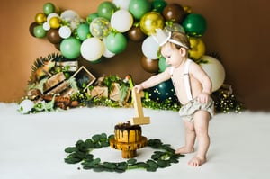 Image of DINO LAND - CAKE SMASH MINI