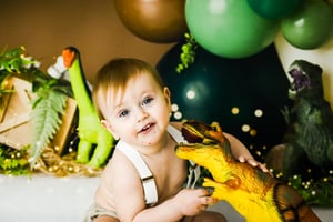 Image of DINO LAND - CAKE SMASH MINI