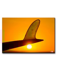 Image 1 of SANO GOLD  - Horizontal