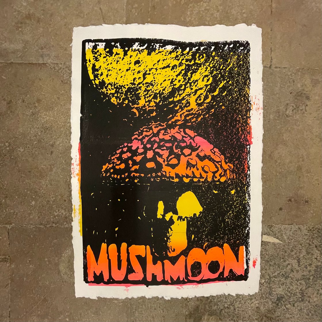 Image of MushMoon