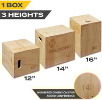 3 in 1 Plyo Box 