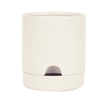 VERVE WHITE