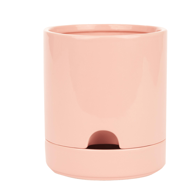 VERVE PINK