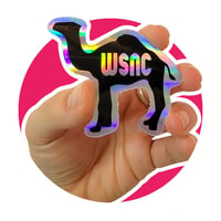 Image 1 of Winston-Salem Holo Camel