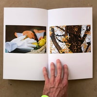 Image 5 of Max Berry artist publication 'Monument'