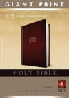 NLT Giant Print Bible-Hardcover