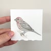 Original Artwork: Miniature Bird Surprise