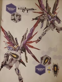 Image 2 of Dragon Momoko Destiny