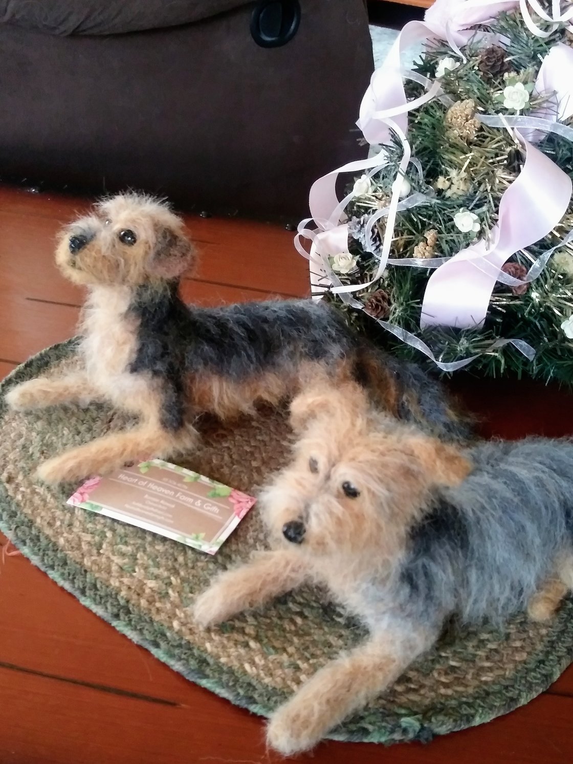 Image of 8"Yorkshire Terrier