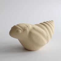 Image 3 of Spittlebug