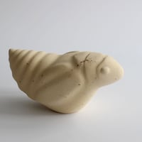 Image 4 of Spittlebug