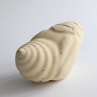Image 5 of Spittlebug