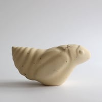 Image 1 of Spittlebug