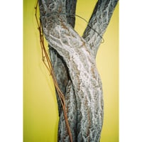 Image 5 of REN HANG / ATHENS LOVE