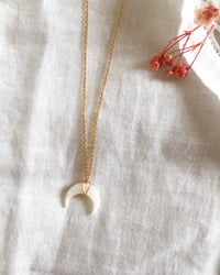 Collier petite corne blanche Léonard 