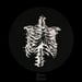 Image of Glitch Skeletal Ribs T-Shirt