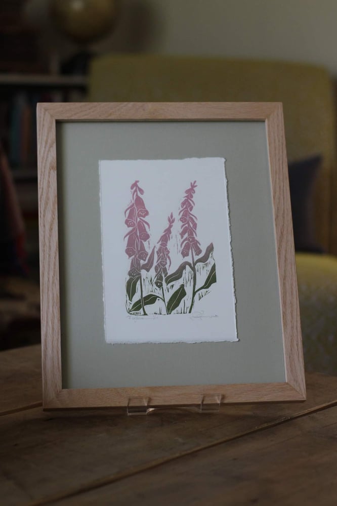 Image of Foxgloves