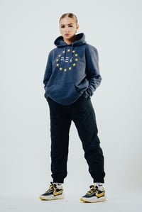PARAMOUNT HOODIE ASH