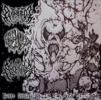 Audio depravity in the key of sick-split cd