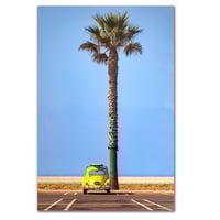 Image 1 of SURF BUG II