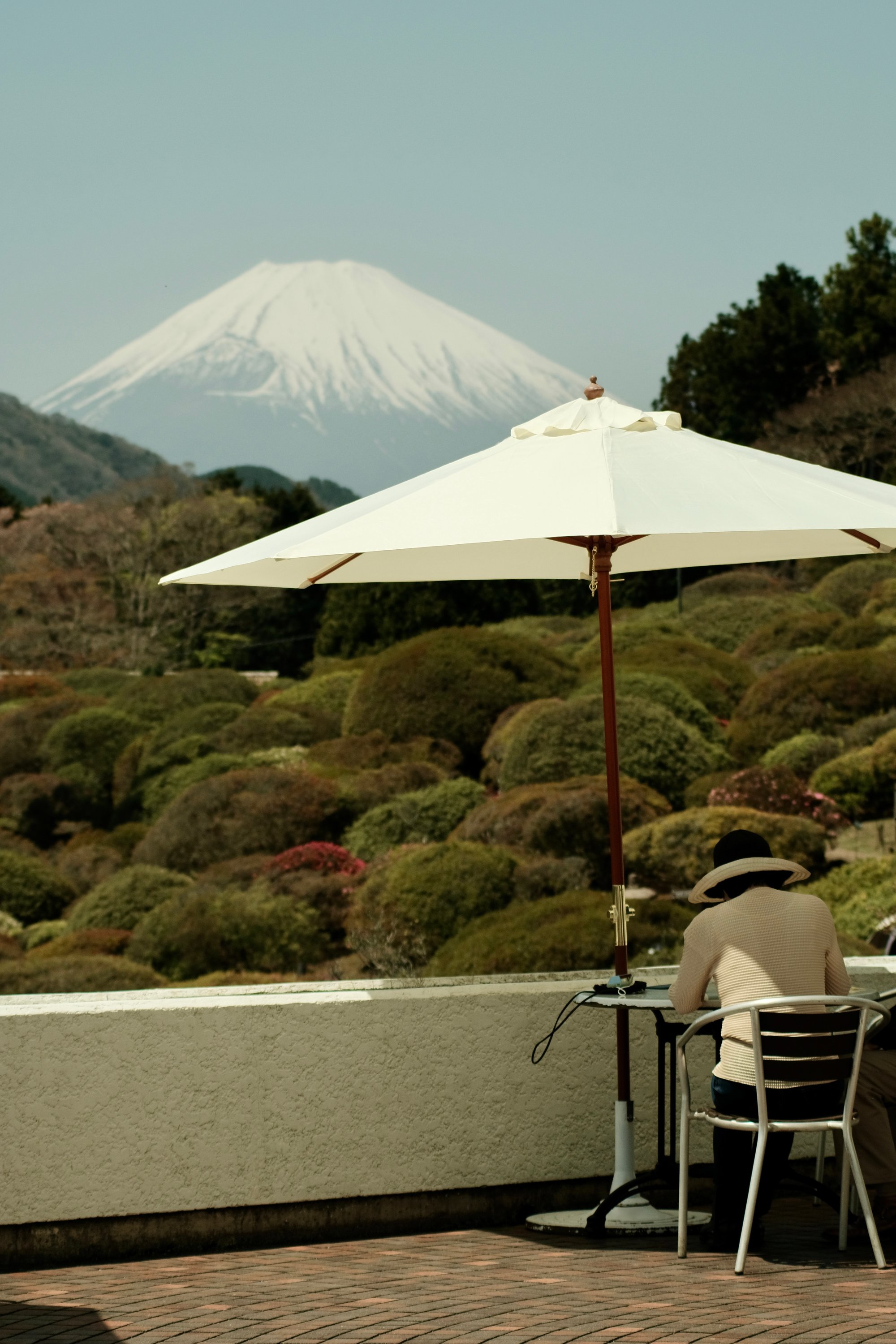Image of Fuji Terrace – Matte Print