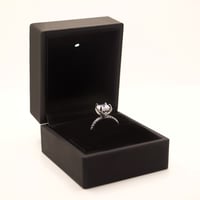 Image 4 of The Platinum Ring Box