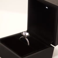 Image 5 of The Platinum Ring Box