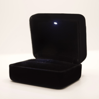 Image 3 of The Velvet Light Ring Box
