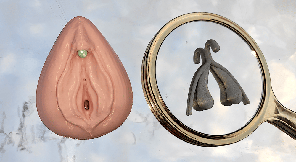 Image of Vulva + Clitoris - Detachable - 3D printed