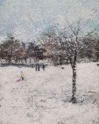 Sledging in the park 