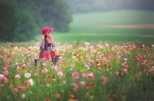 Image of wildflower sessions 2025 retainer fee