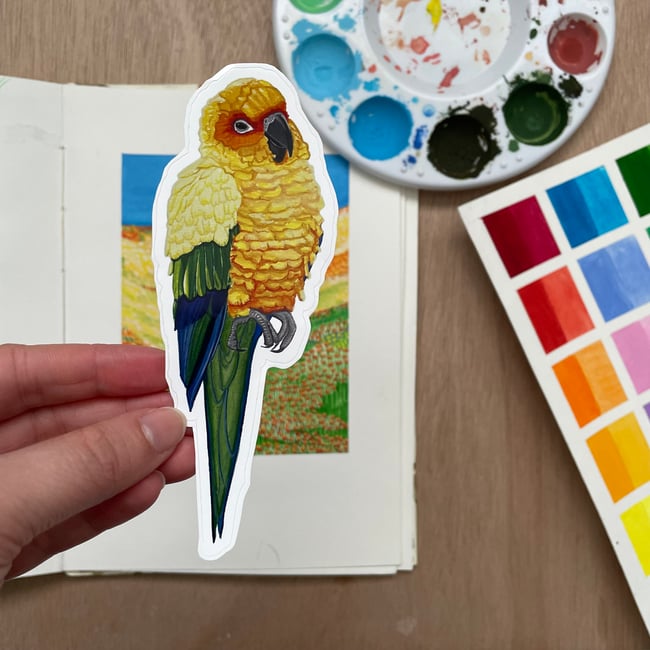 5 Inch Sun Conure Sticker
