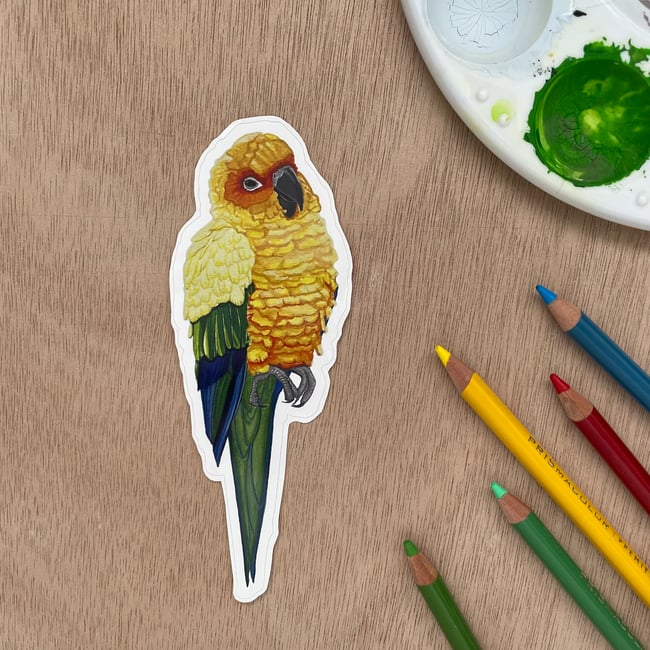 5 Inch Sun Conure Sticker