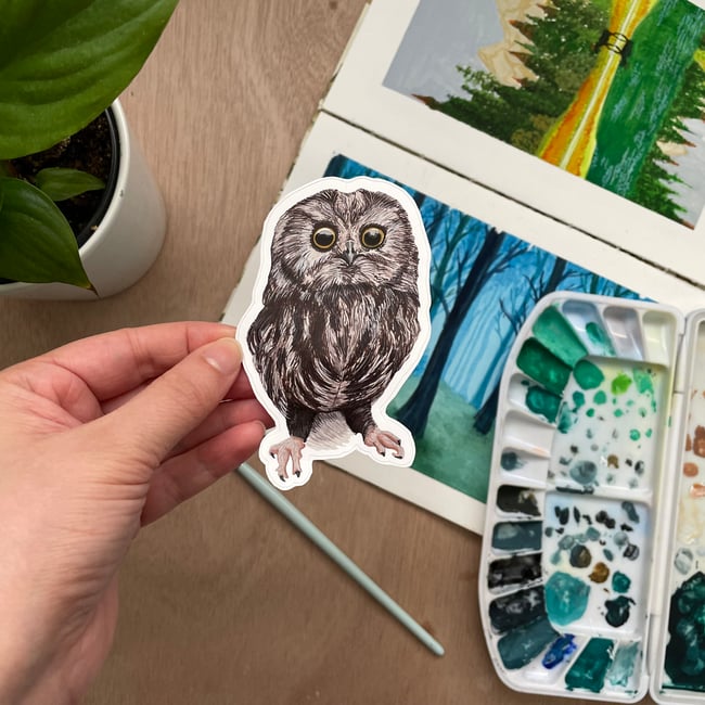 4 Inch Northern Saw-whet Owl Sticker