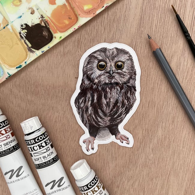 4 Inch Northern Saw-whet Owl Sticker