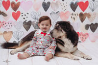 Image 3 of Valentines day minis 