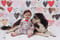 Image of Valentines day minis 
