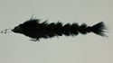 6" - 8" Drunken Feather Changers