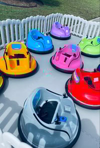 Image 1 of Bumper Carts