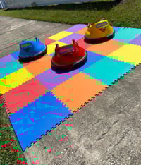 Image 5 of Bumper Carts