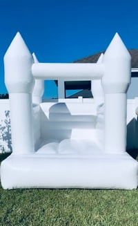 Image 1 of Luxe Toddler Bouncer