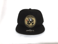 Disobey and destroy Felix  snapback hat