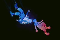 Image 1 of Deep Dive