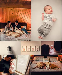 Image 5 of Booking Fee:  Newborn (Lifestyle)