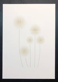Dandelions II (dots.012.04)