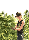 Weed Garden - Print